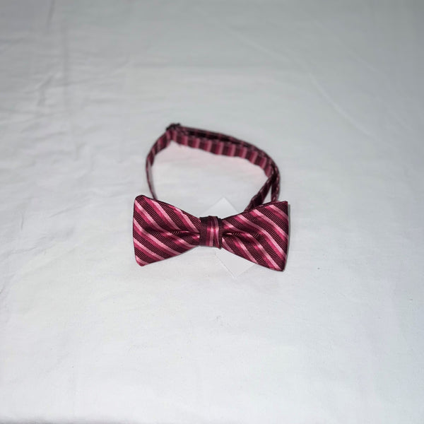Men's Reflections Stripe Pre-tied Bow Tie - 19 Colors