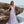 Blush Prom 12113 Pink Multi Plunging V-Neck Fit-n-Flare Dress with Godets