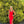 Ava Presley 37324 Fitted Jersey Dress with Off the Shoulder Feather Detail - Red, Fuchsia or Royal Blue
