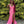 Ava Presley 38889 Fitted Sequined Dress with Slit - Hot Pink, Coral or Yellow