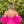 Ava Presley 28287 Neon Hot Pink Sequin Dress with Feathered Sleeves