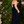 Athena Prom 8212 Navy Blue Sequin Velvet Sheath Dress