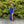 Blush Prom 12170 Sequin Off the Shoulder Dress with Feather Detail - Emerald, Pink or Sapphire Blue