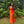 Blush Prom 12134 Orange Satin Corset Dress with Slit - Size 6