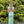 Blush Prom 12149 Fern Green Lace Embroidered Fitted Dress - Size 8