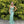Blush Prom 12149 Fern Green Lace Embroidered Fitted Dress - Size 8