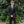 New Black Couture Ultra Fit Suit Jacket Separates