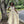 Cecilia Couture 1466 Champagne Multi Embroidered Ballgown - Size 6
