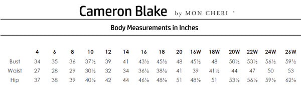 Cameron Blake by Mon Cheri Size Chart