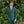 Dark Green Caravelli Three Piece Suit Matching Vest Notch Lapel