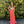 JVN by Jovani 21216 Coral Jeweled Sweetheart Chiffon Dress