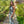 Lucci Lu Style 981069 in Platinum 3-d Sequins
