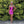 Portia & Scarlett PS23120 Sequin Mini Dress - Cobalt Blue, Red, Emerald Green or Fuchsia Pink