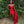 Portia & Scarlett PS23130 Sequined Mini Dress with Side Sash Train - Red or Black