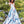 CLARISSE 3538 White & Multi Color Floral Print A-Line Dress