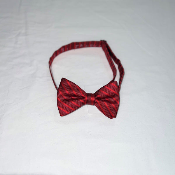 Men's Reflections Stripe Pre-tied Bow Tie - 19 Colors