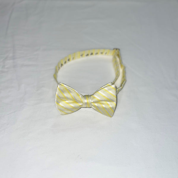 Men's Reflections Stripe Pre-tied Bow Tie - 19 Colors