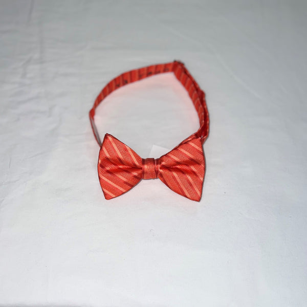 Men's Reflections Stripe Pre-tied Bow Tie - 19 Colors