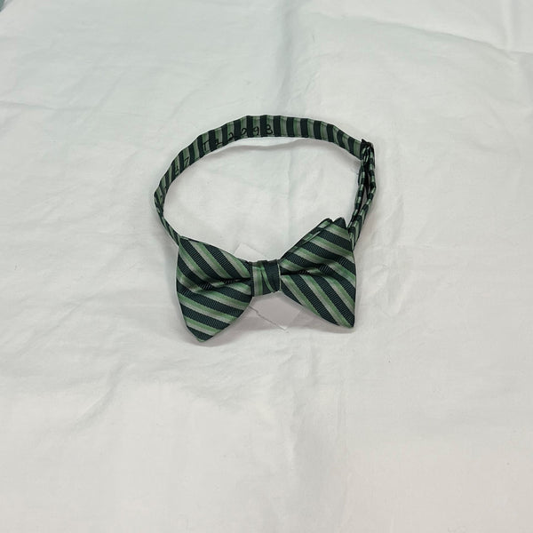 Men's Reflections Stripe Pre-tied Bow Tie - 19 Colors