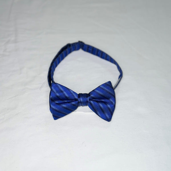 Men's Reflections Stripe Pre-tied Bow Tie - 19 Colors