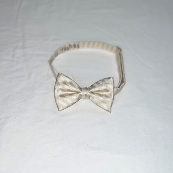 Men's Reflections Stripe Pre-tied Bow Tie - 19 Colors
