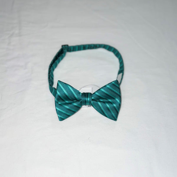 Men's Reflections Stripe Pre-tied Bow Tie - 19 Colors