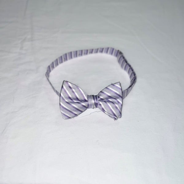 Men's Reflections Stripe Pre-tied Bow Tie - 19 Colors