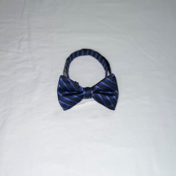 Men's Reflections Stripe Pre-tied Bow Tie - 19 Colors