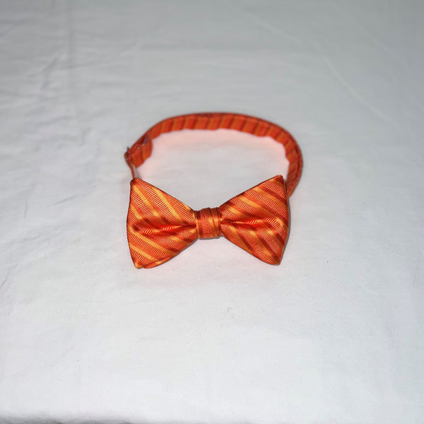 Men's Reflections Stripe Pre-tied Bow Tie - 19 Colors