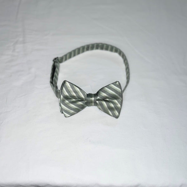 Men's Reflections Stripe Pre-tied Bow Tie - 19 Colors
