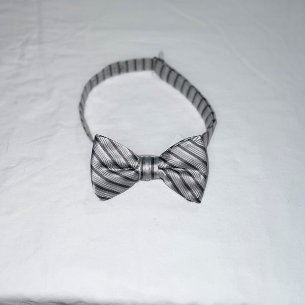 Men's Reflections Stripe Pre-tied Bow Tie - 19 Colors
