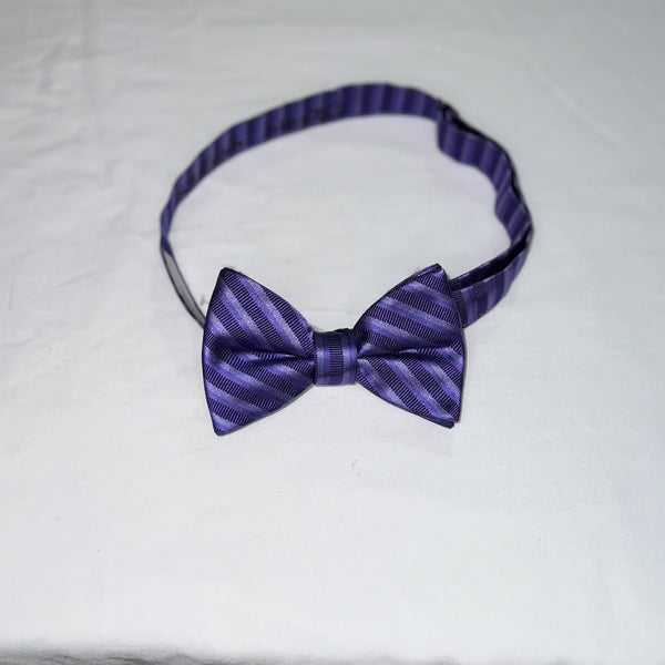 Men's Reflections Stripe Pre-tied Bow Tie - 19 Colors