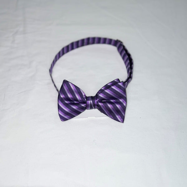 Men's Reflections Stripe Pre-tied Bow Tie - 19 Colors