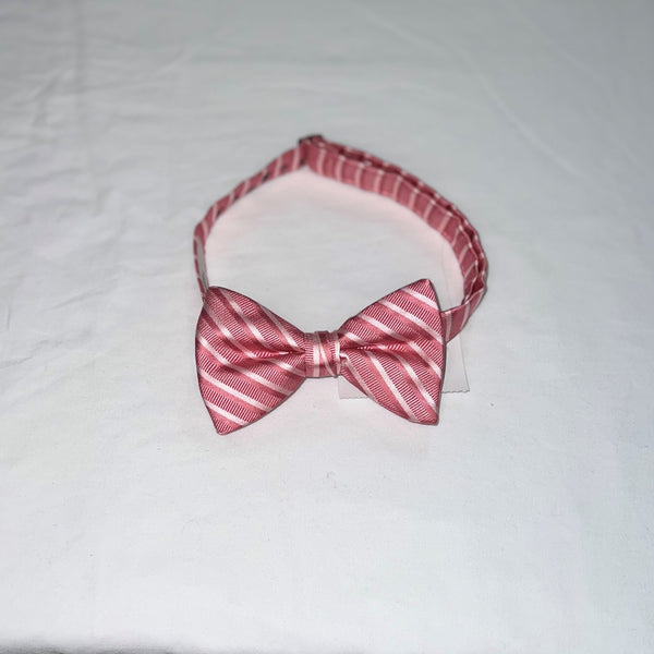 Men's Reflections Stripe Pre-tied Bow Tie - 19 Colors